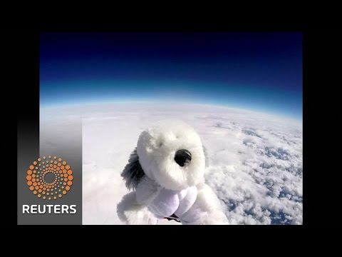 british school sends toy dog into space