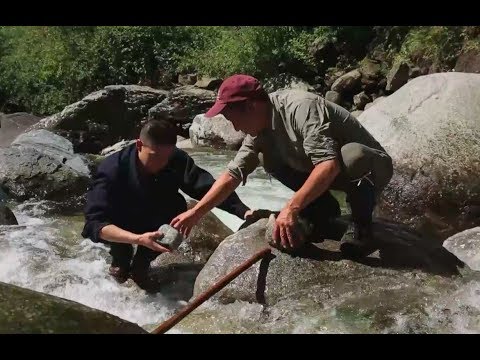 assignment asia from loggers