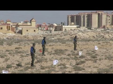 working to eliminate landmines in egypt