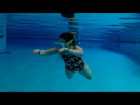 dutch nonprofit ‘the dolphin swim club’