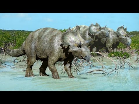new horned face dinosaur species found