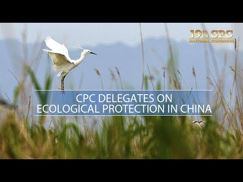 cpc delegates on ecology and environmental protection