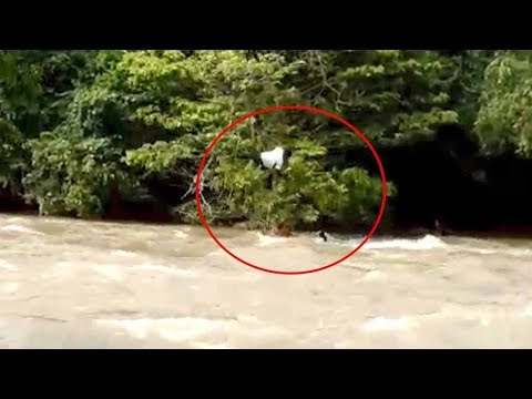 man falls into raging river in failed attempt