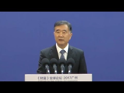 chinese vp urges building of open balanced world economy