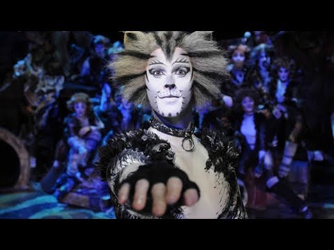hit musical cats to tour 13 chinese cities