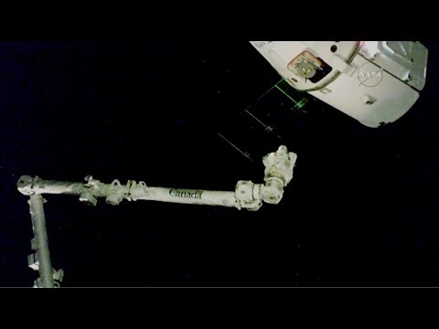 spacex dragon supply ship docks